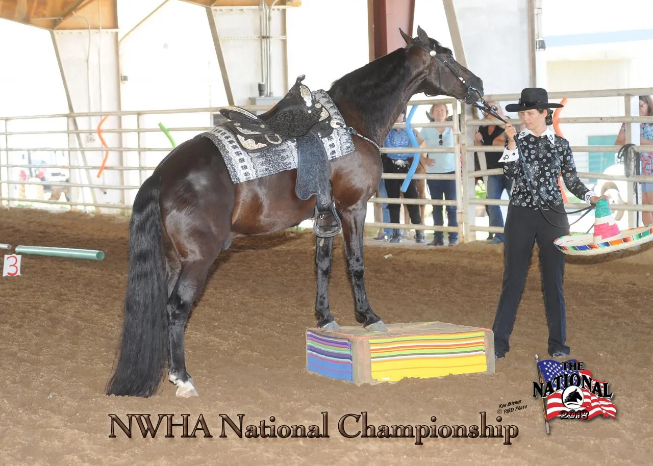 2018 NWHA National