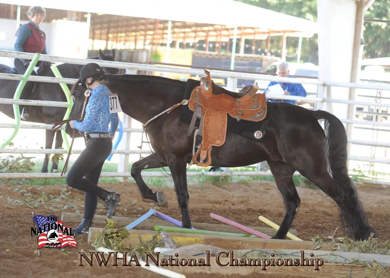 2018 NWHA National
