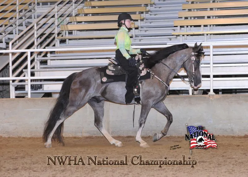 2018 NWHA National