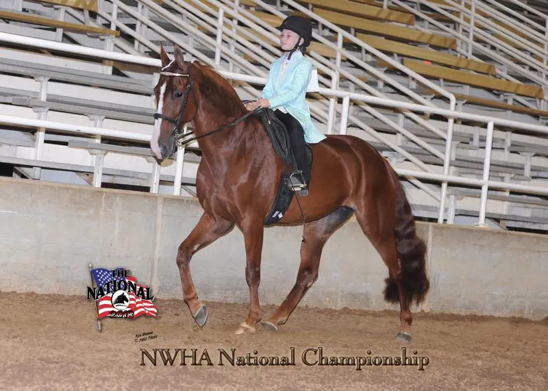 2018 NWHA National