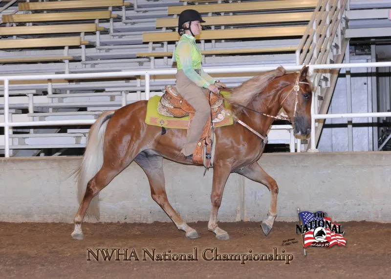 2018 NWHA National