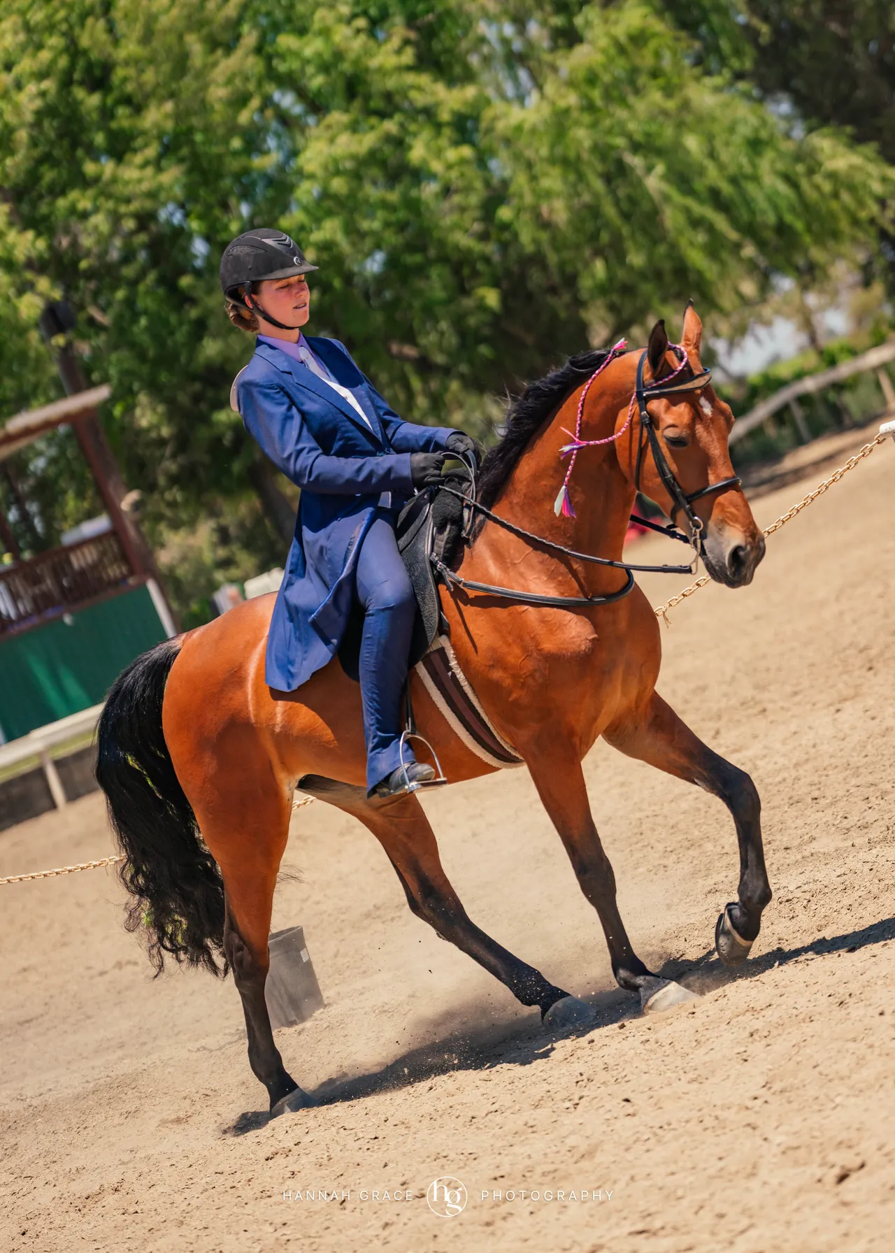 2025 NCWHA Mayfest Horse Show