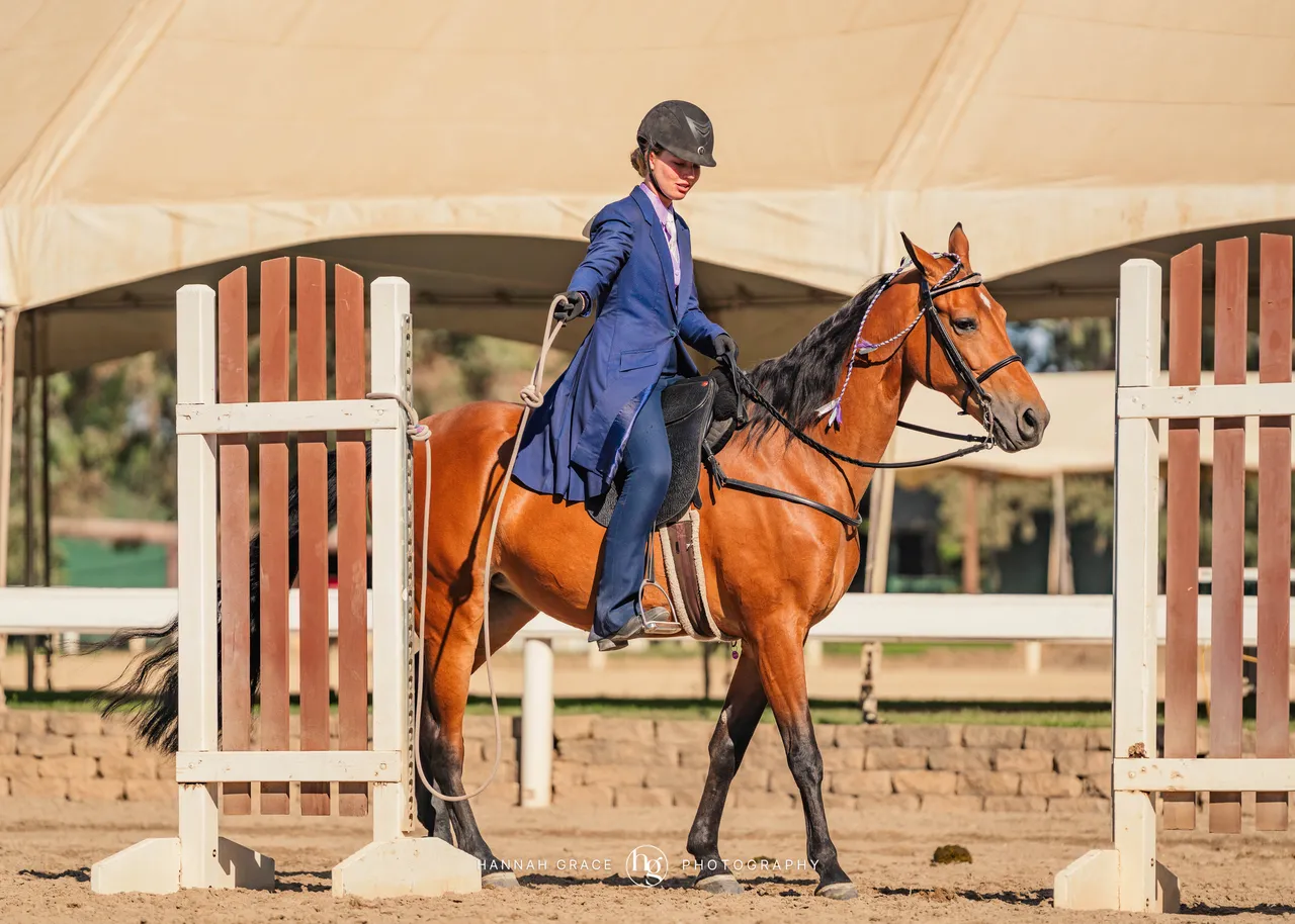 2025 NCWHA Mayfest Horse Show