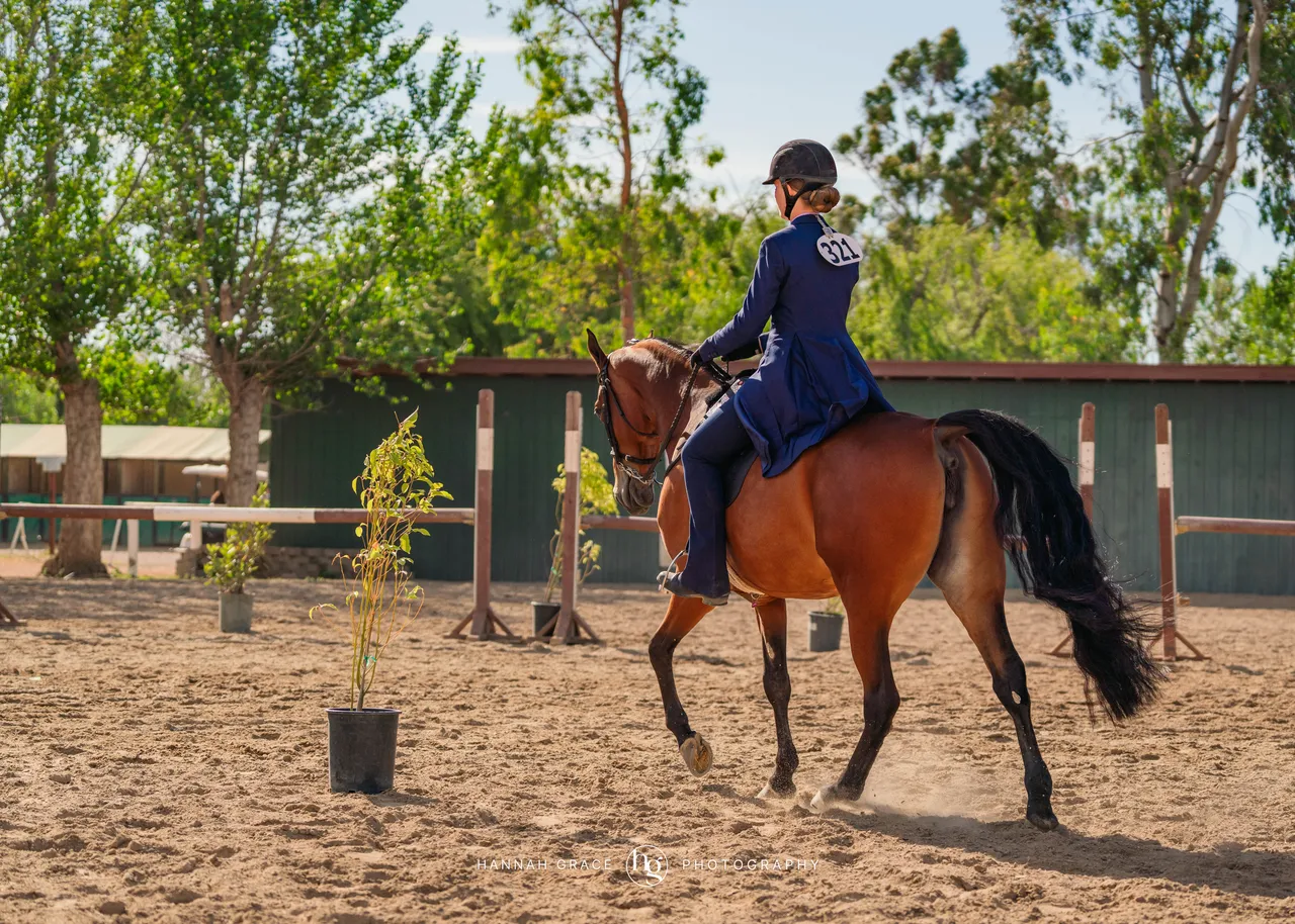 2025 NCWHA Mayfest Horse Show