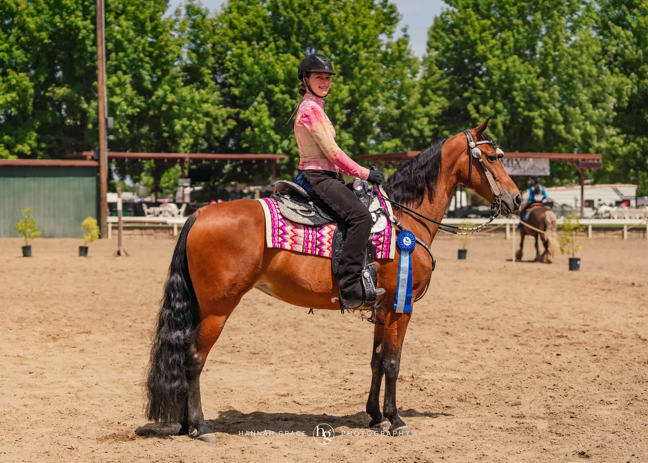 2025 NCWHA Mayfest Horse Show