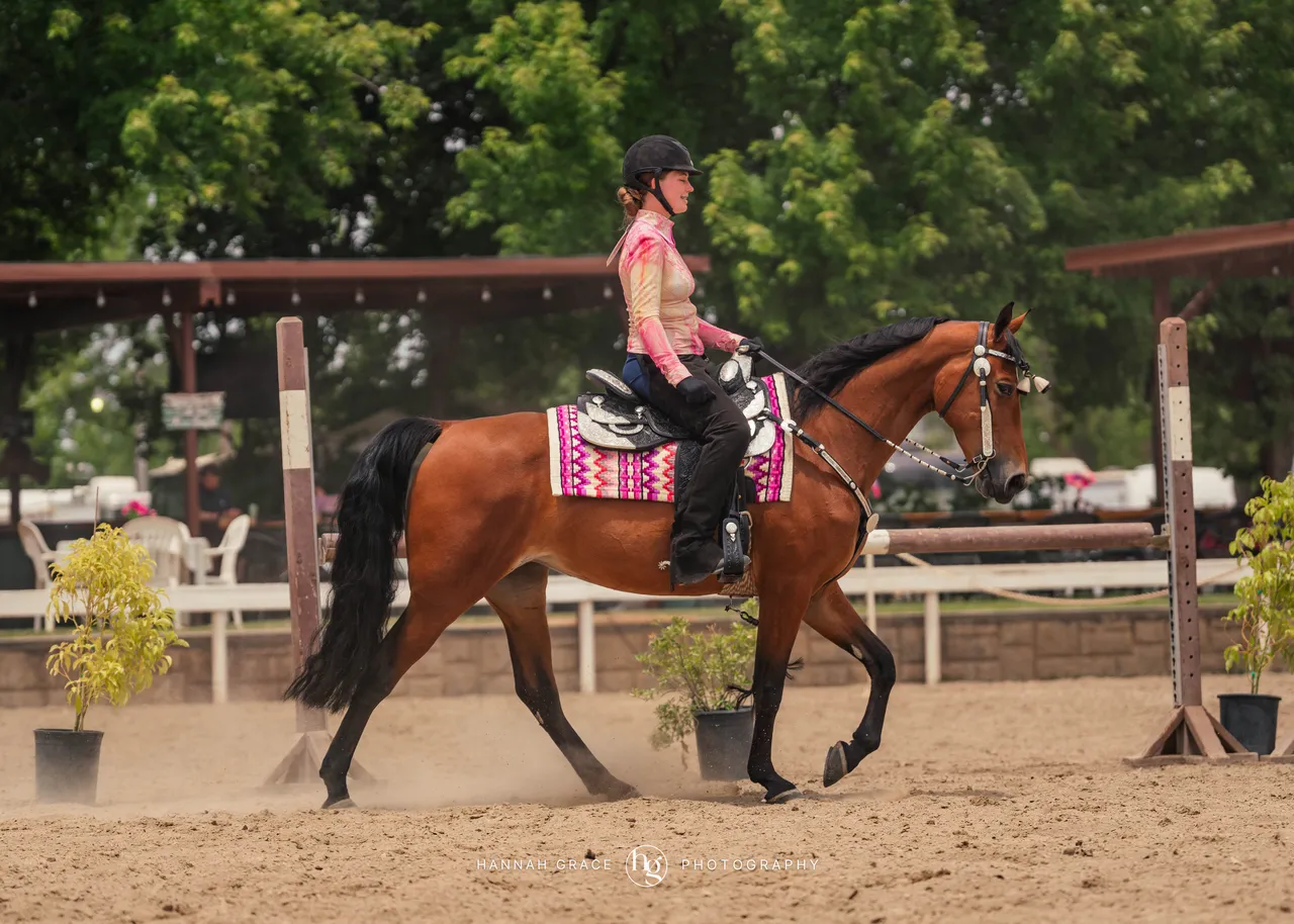 2025 NCWHA Mayfest Horse Show