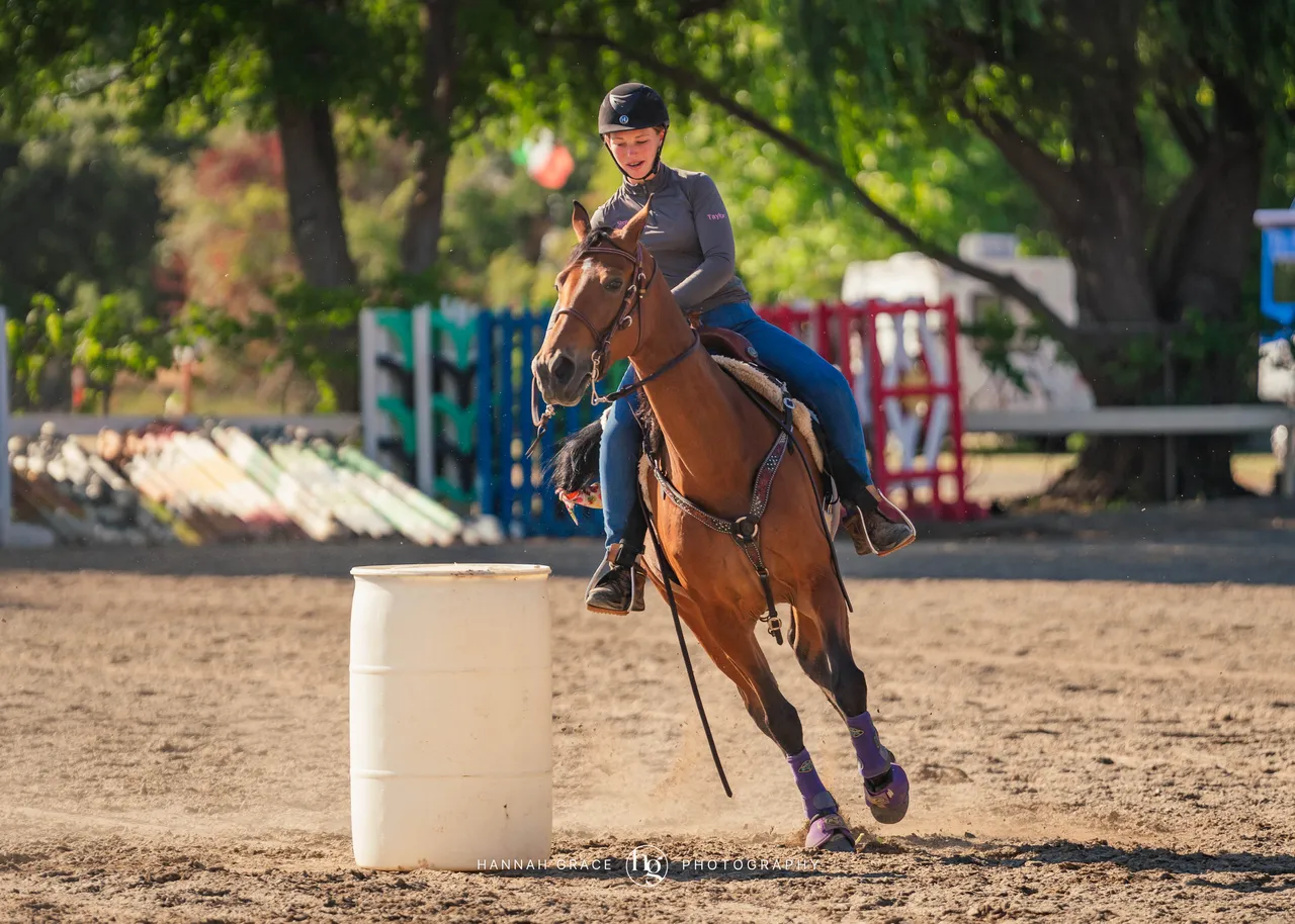 2025 NCWHA Mayfest Horse Show