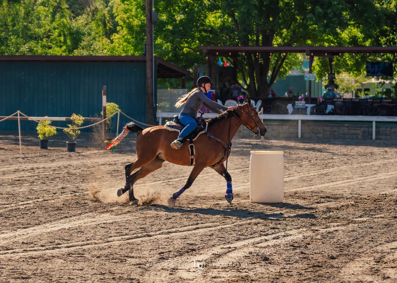 2025 NCWHA Mayfest Horse Show