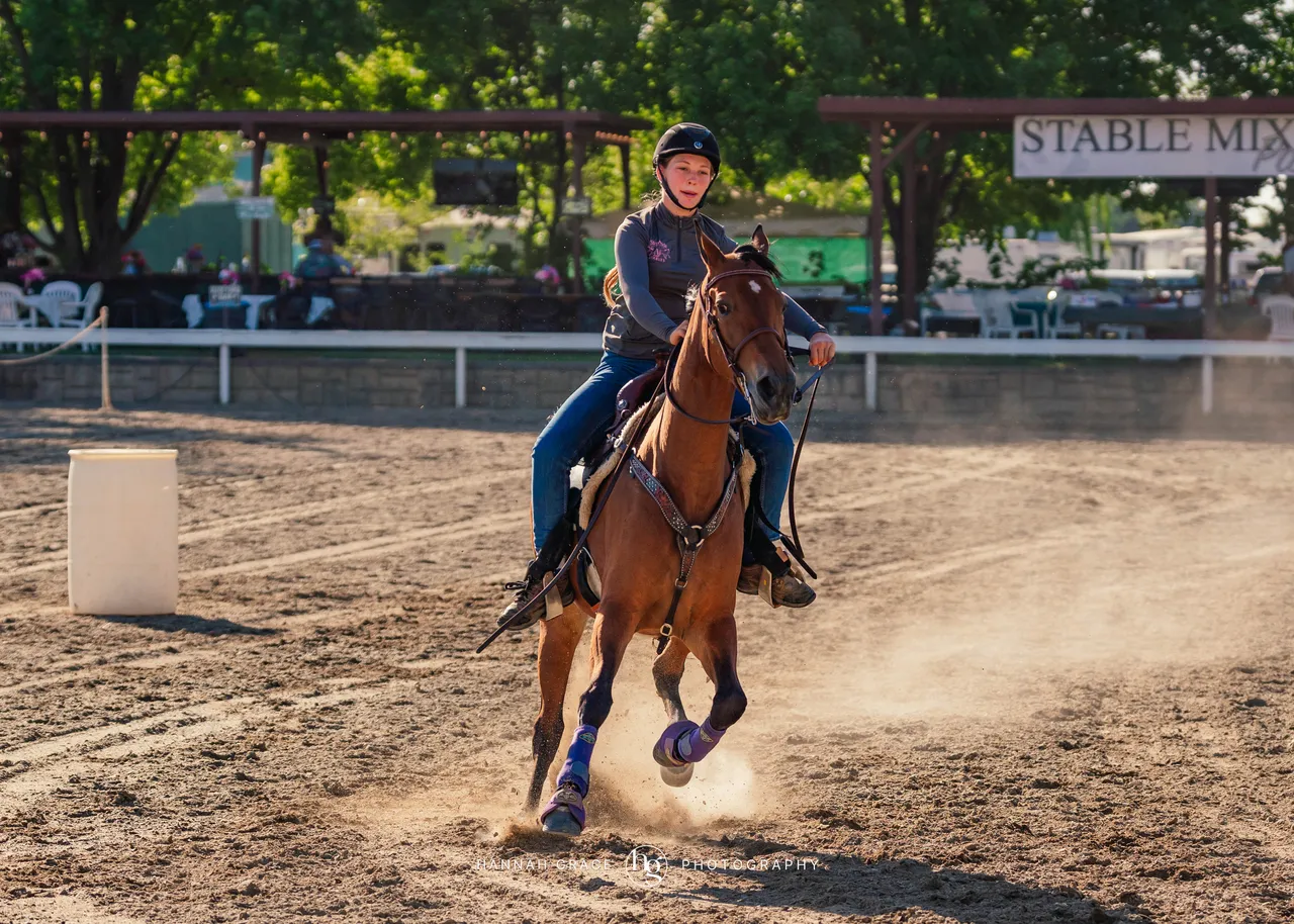 2025 NCWHA Mayfest Horse Show