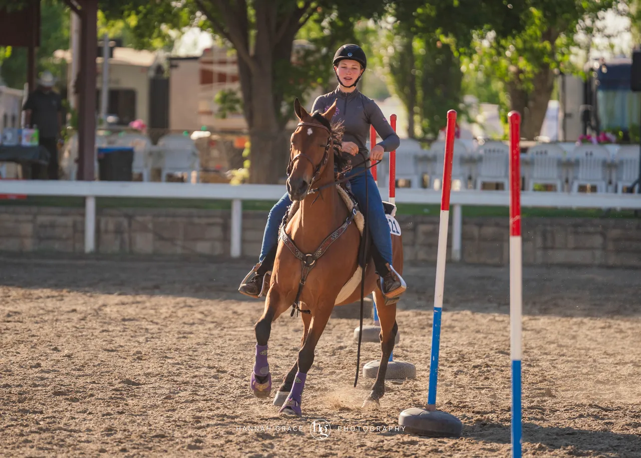 2025 NCWHA Mayfest Horse Show