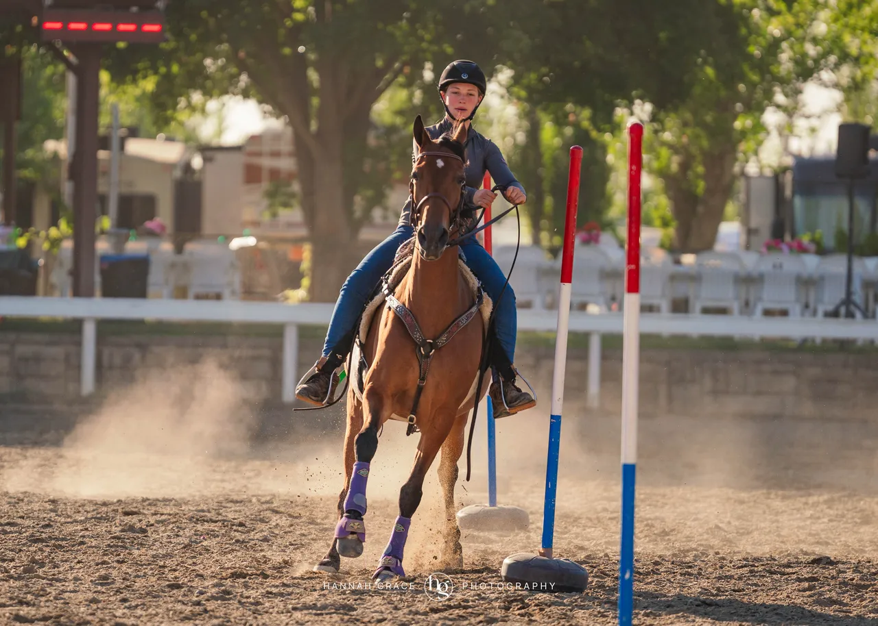 2025 NCWHA Mayfest Horse Show