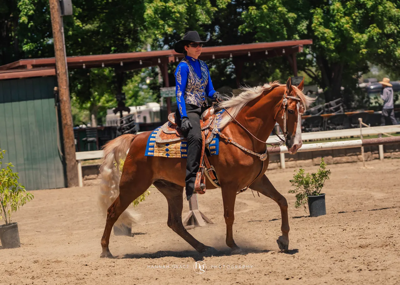 2025 NCWHA Mayfest Horse Show