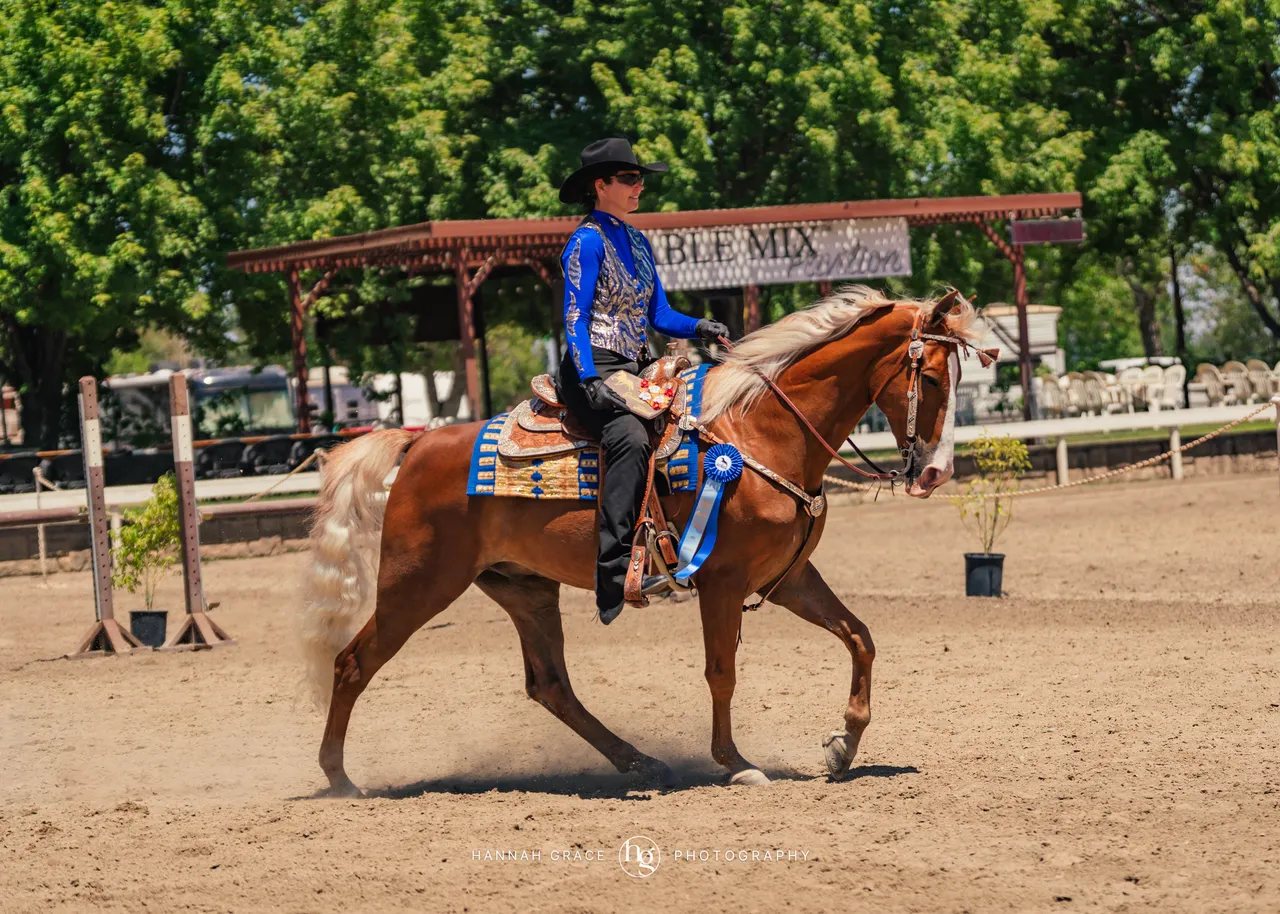 2025 NCWHA Mayfest Horse Show