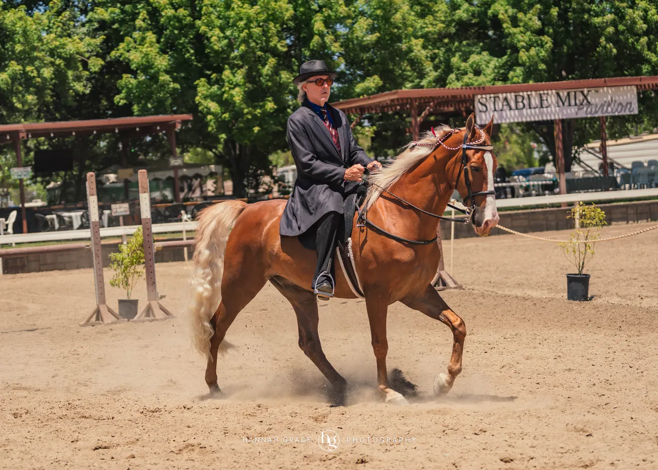 2025 NCWHA Mayfest Horse Show