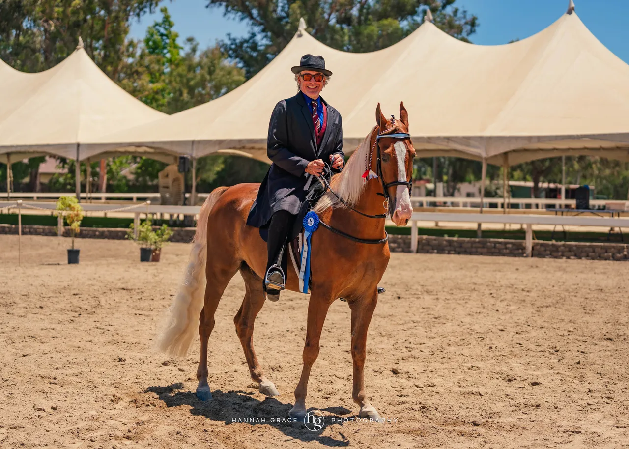 2025 NCWHA Mayfest Horse Show