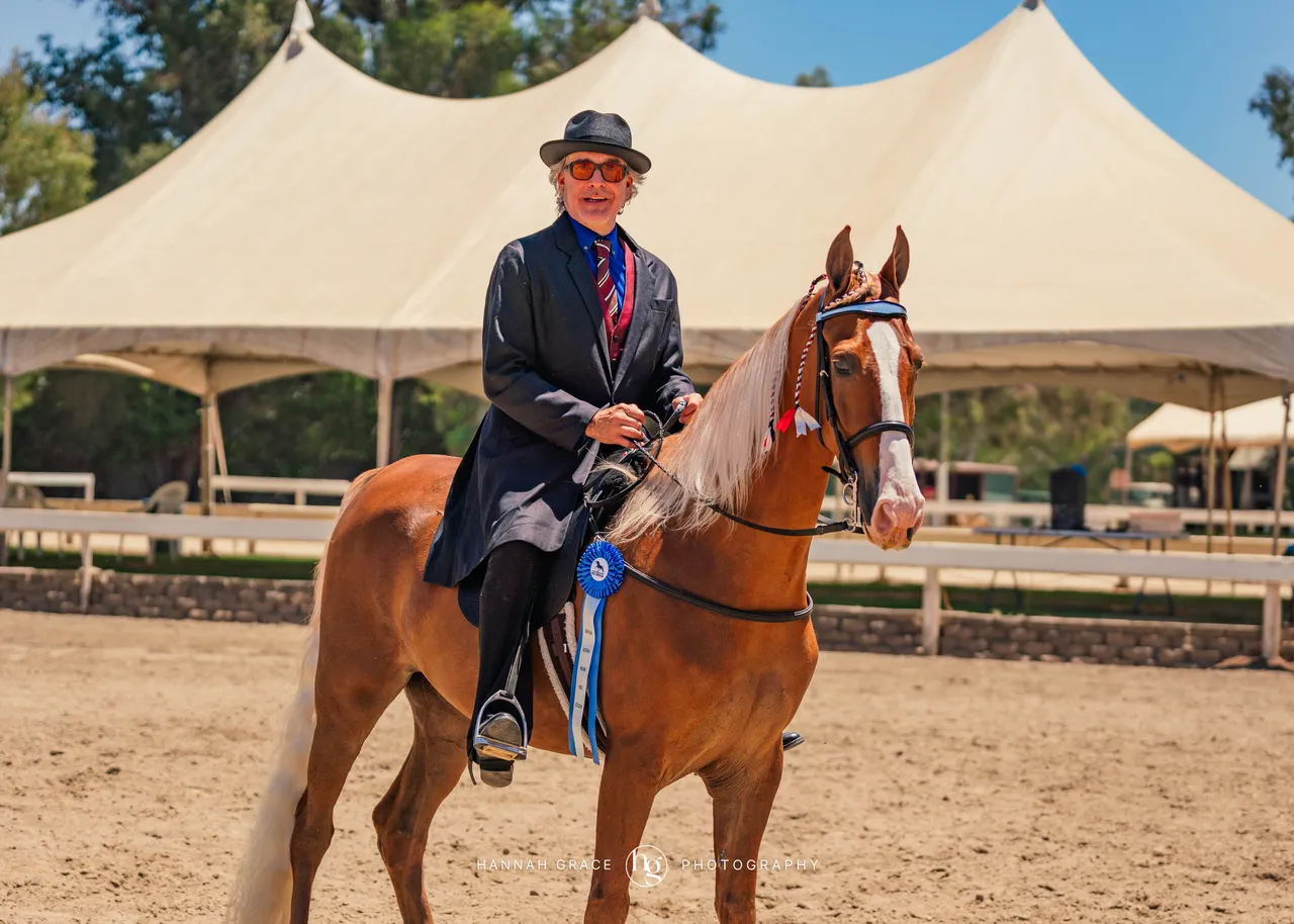 2025 NCWHA Mayfest Horse Show