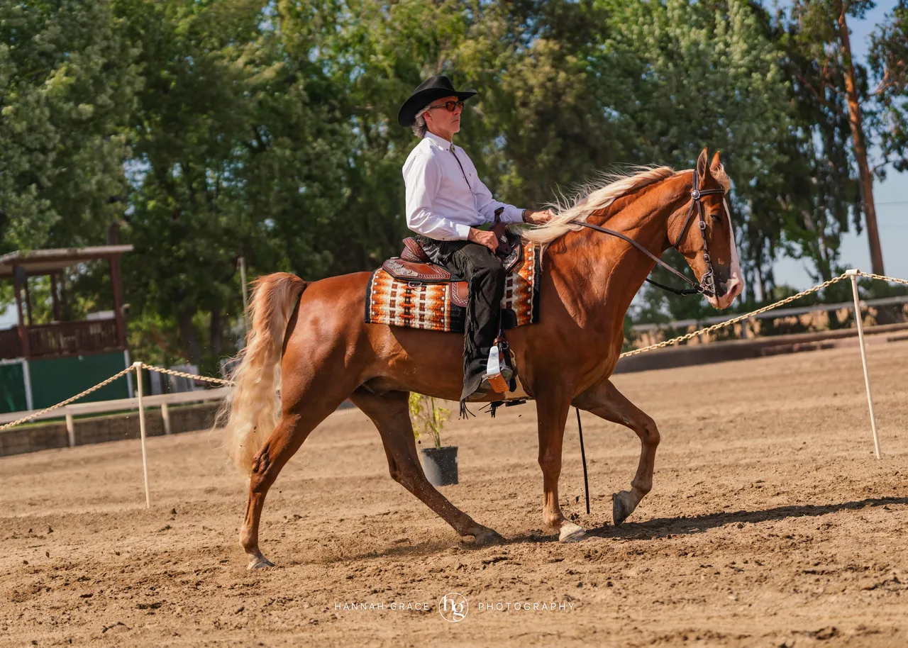 2025 NCWHA Mayfest Horse Show