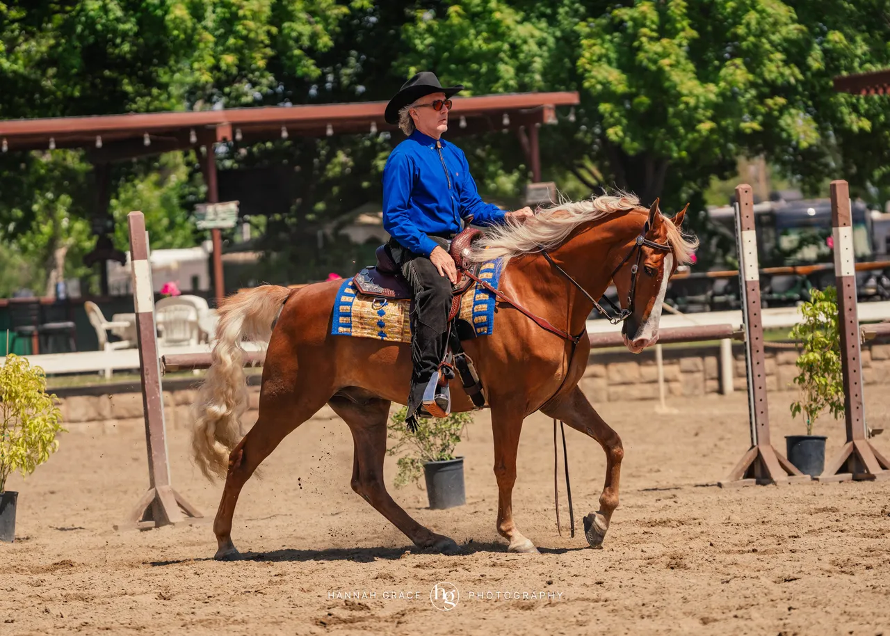 2025 NCWHA Mayfest Horse Show