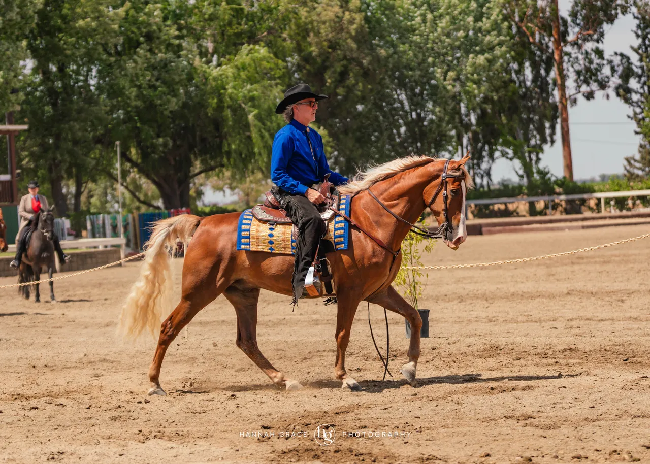 2025 NCWHA Mayfest Horse Show