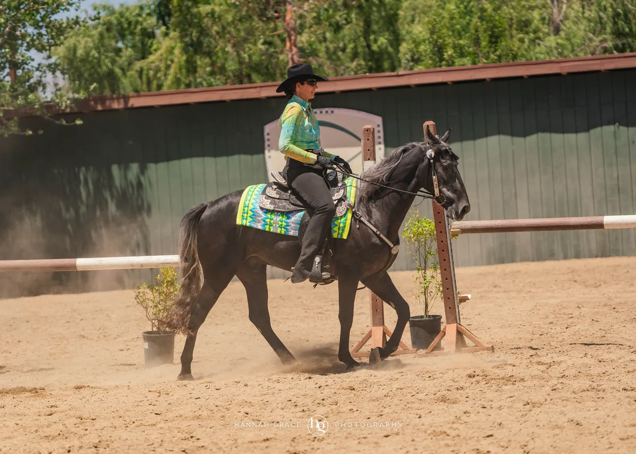 2025 NCWHA Mayfest Horse Show