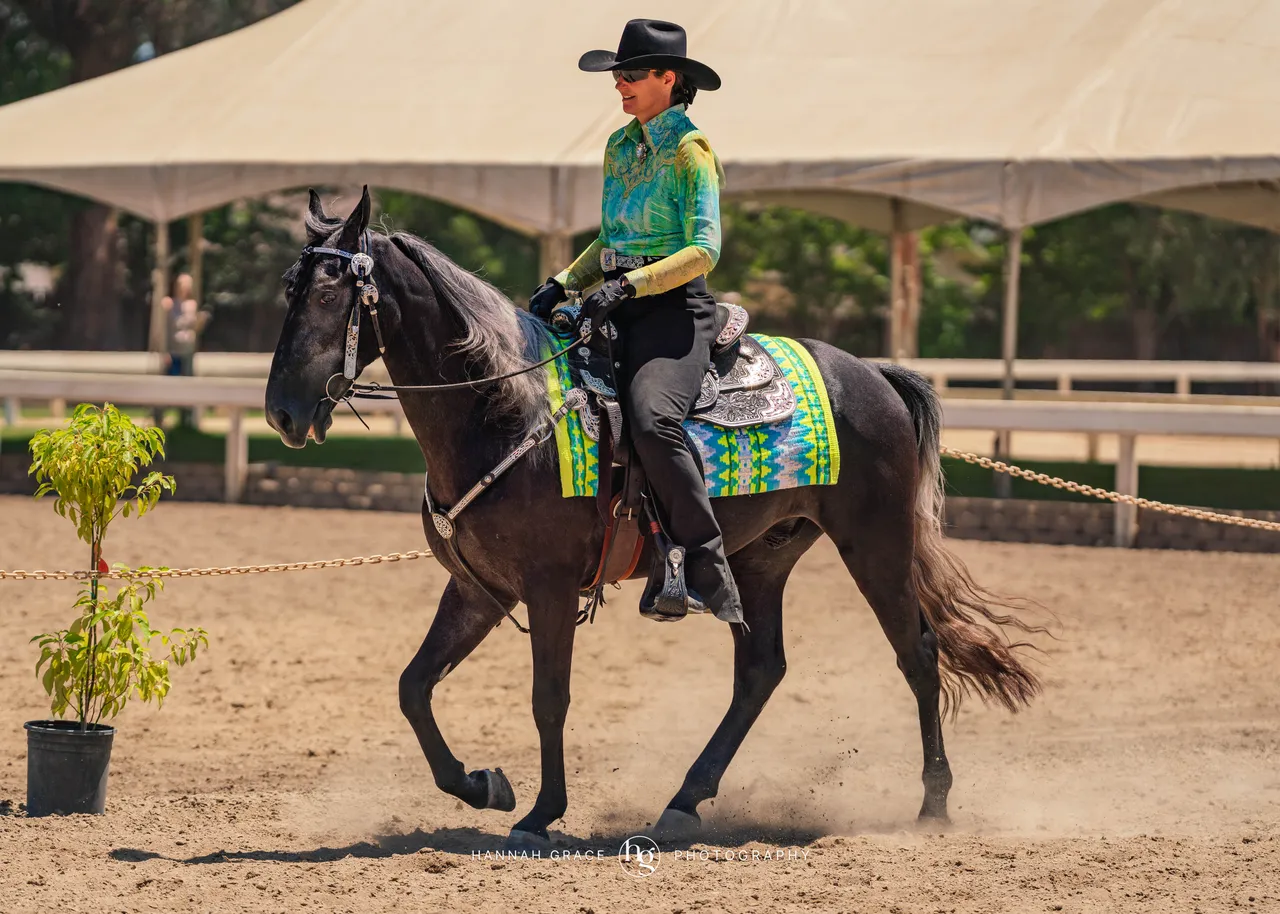 2025 NCWHA Mayfest Horse Show