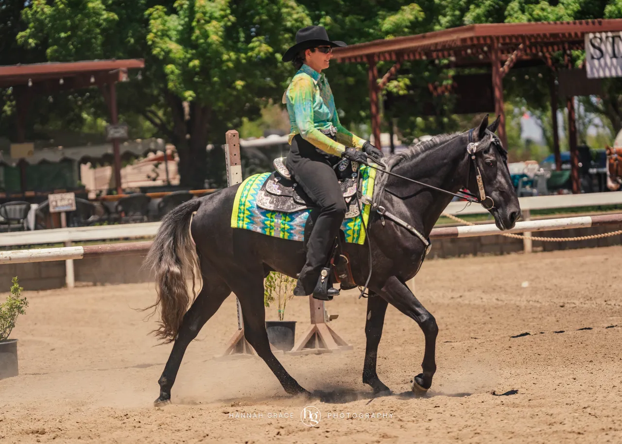 2025 NCWHA Mayfest Horse Show