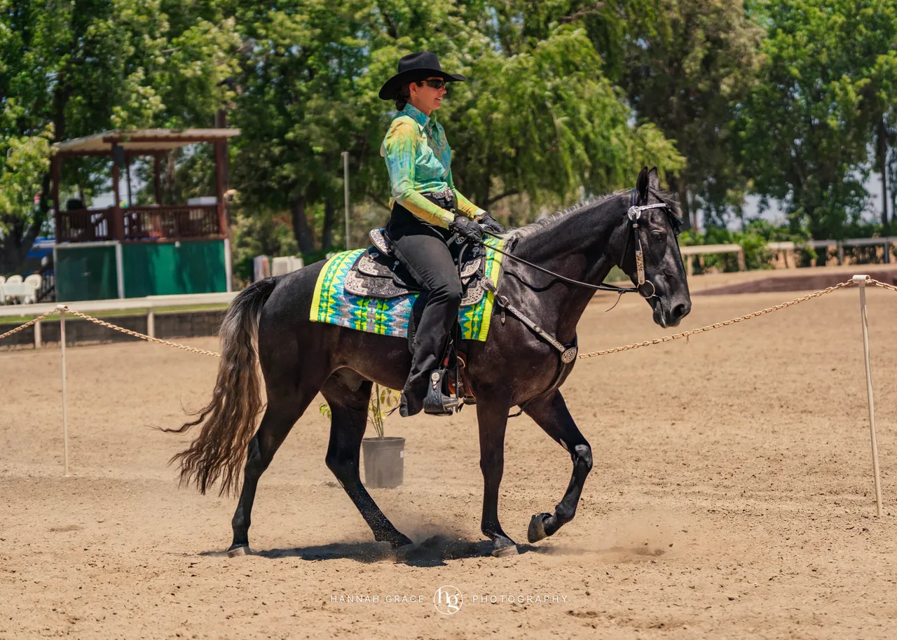 2025 NCWHA Mayfest Horse Show