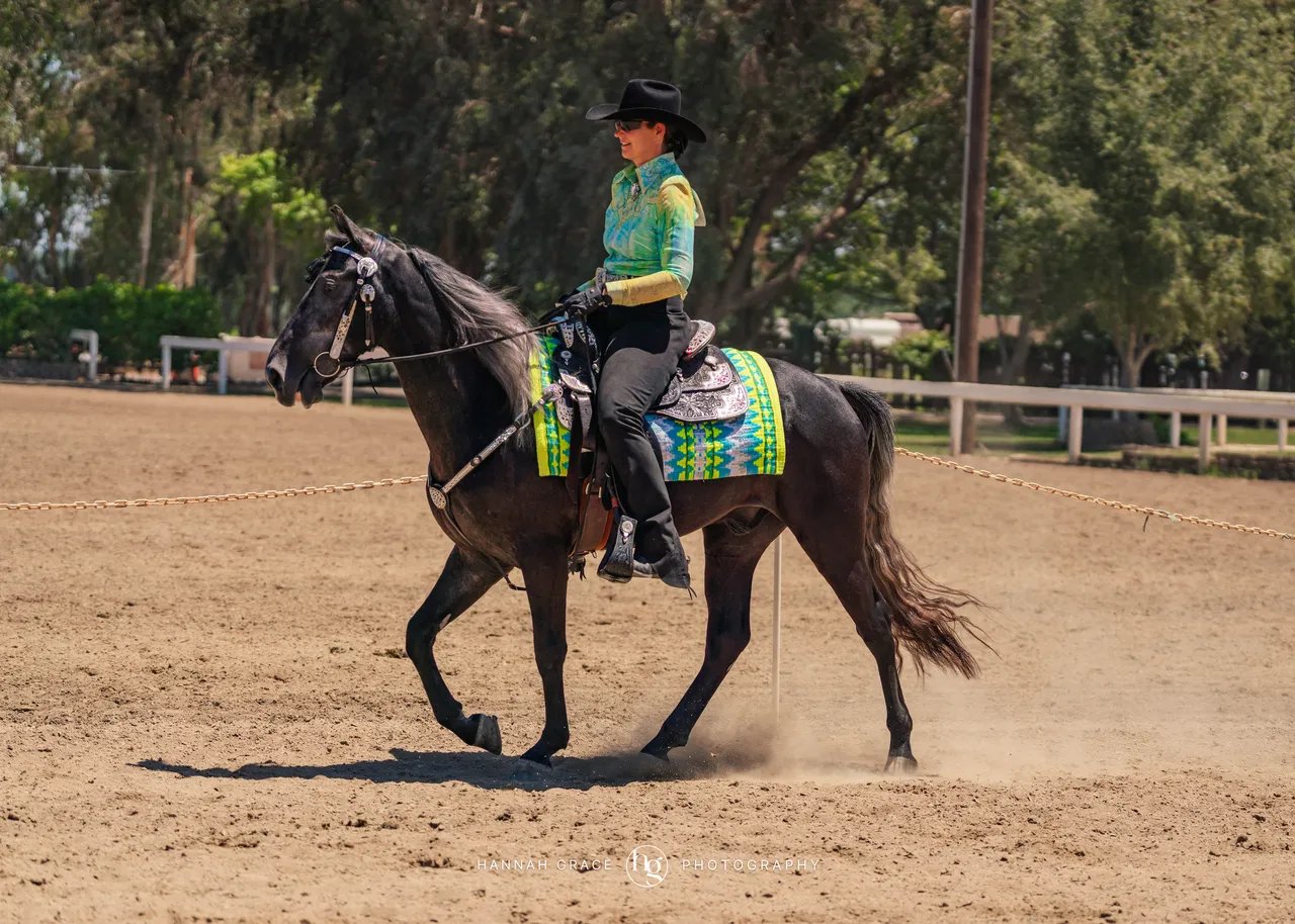 2025 NCWHA Mayfest Horse Show