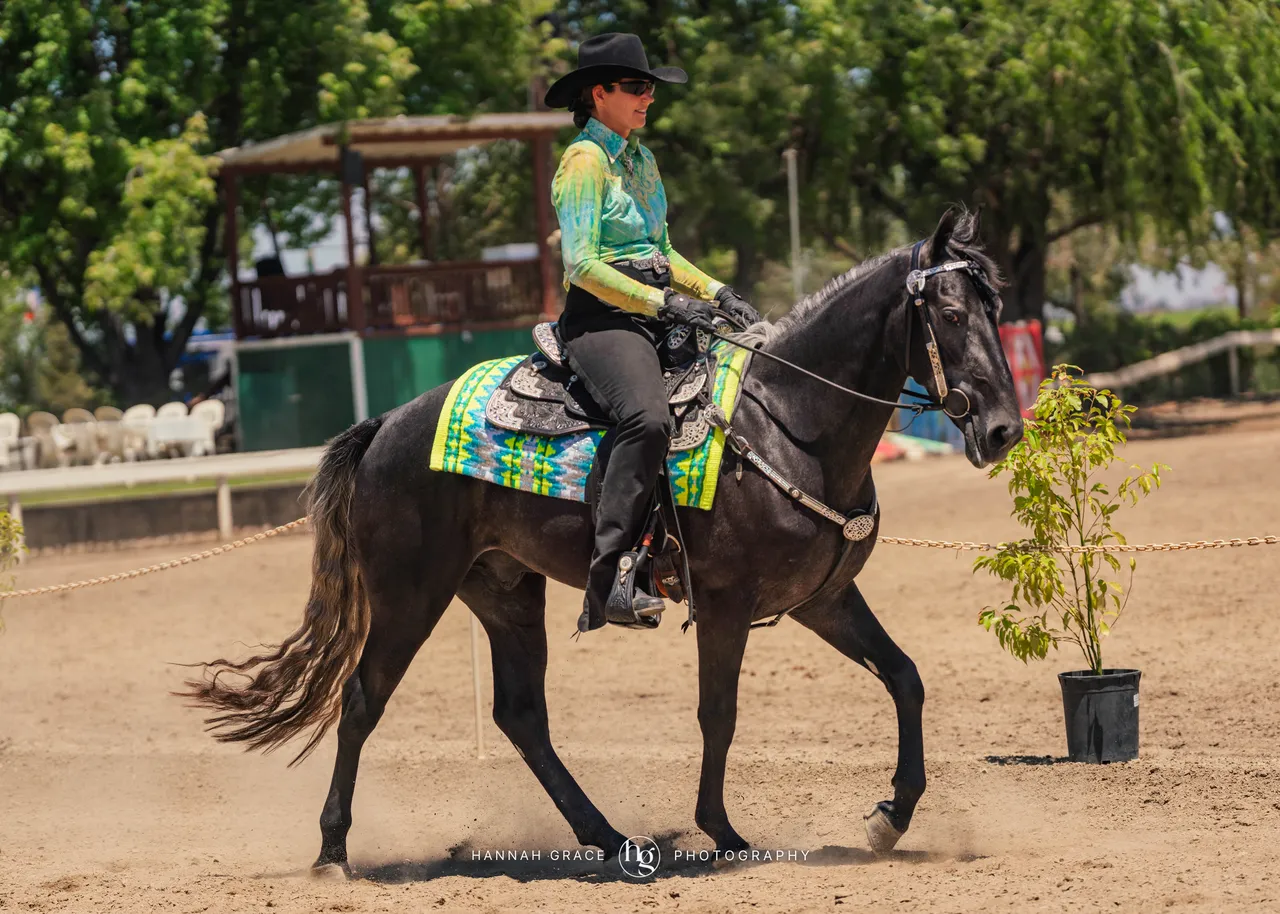 2025 NCWHA Mayfest Horse Show