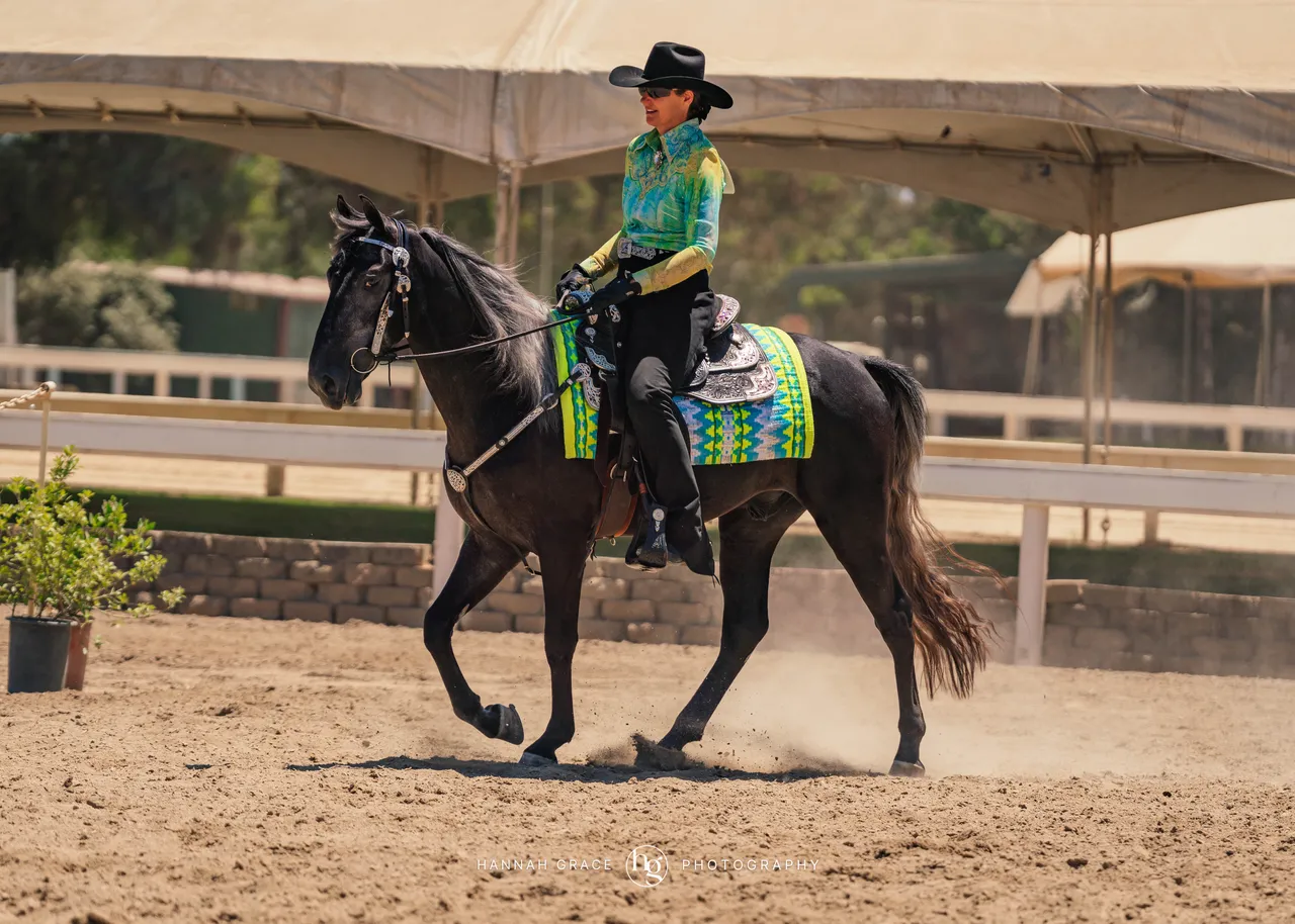 2025 NCWHA Mayfest Horse Show