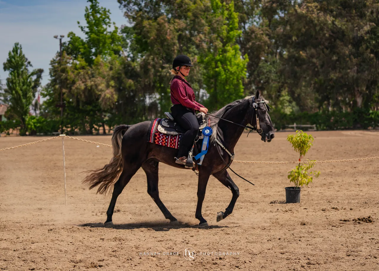 2025 NCWHA Mayfest Horse Show
