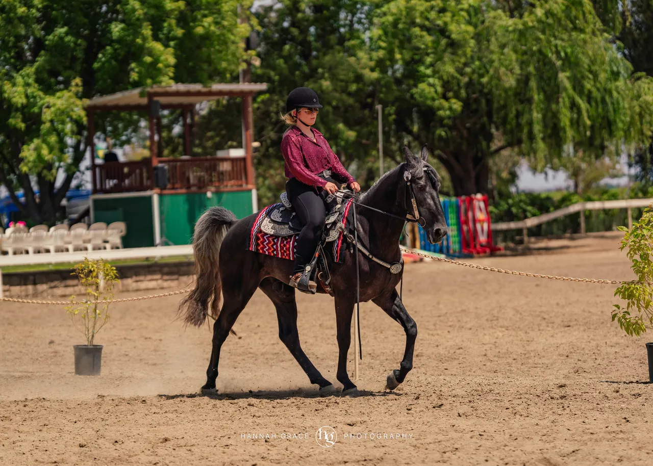 2025 NCWHA Mayfest Horse Show