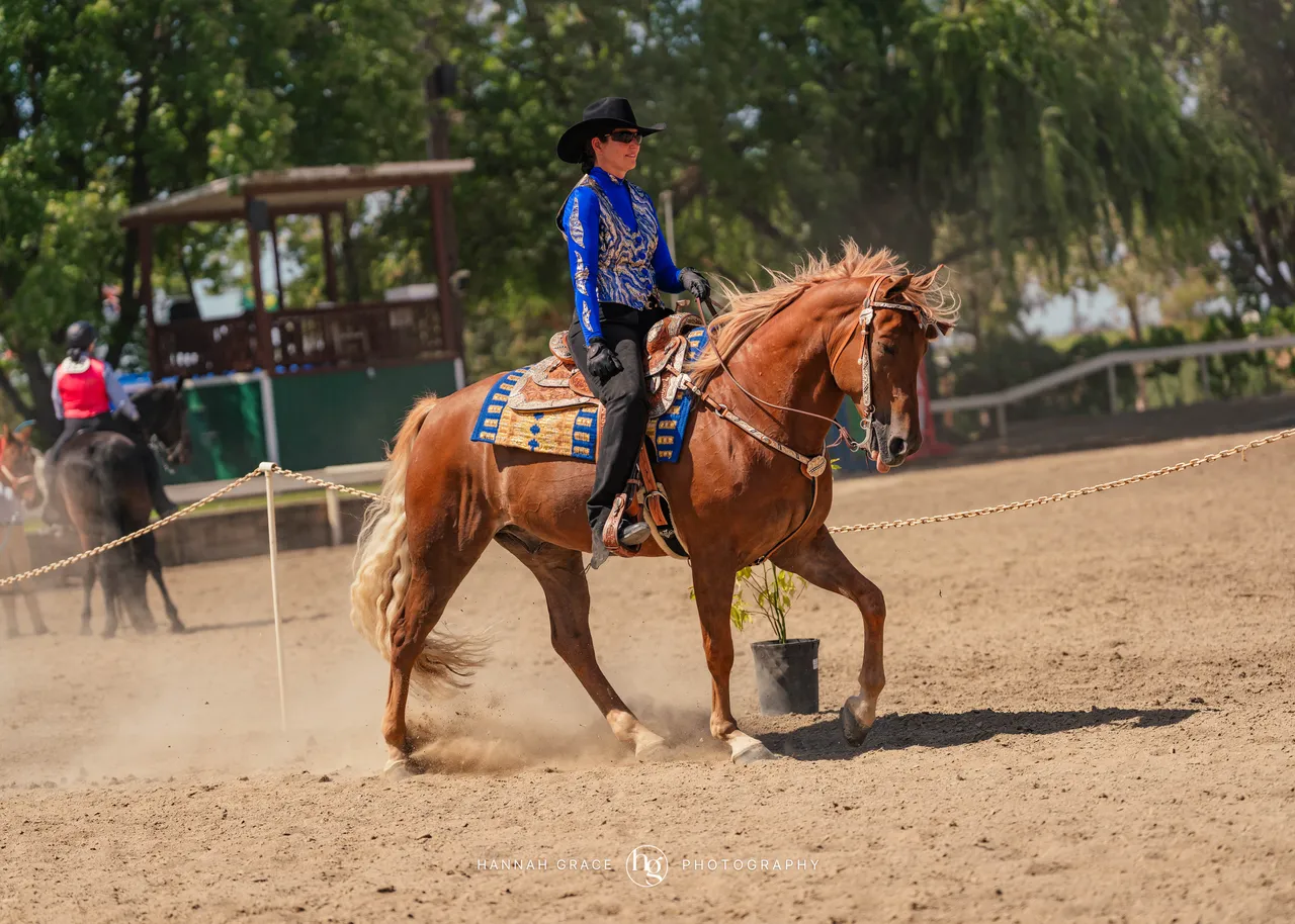 2025 NCWHA Mayfest Horse Show