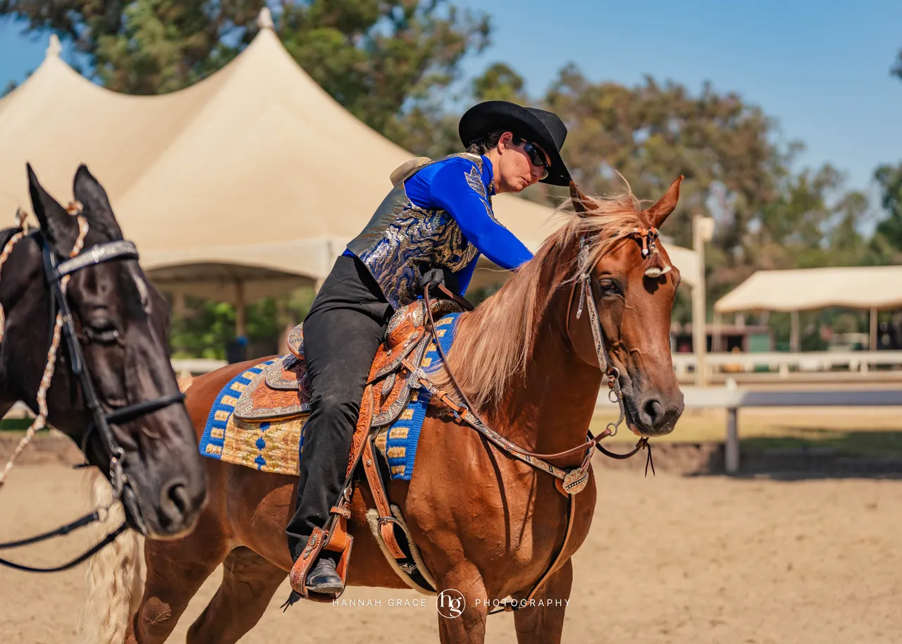 2025 NCWHA Mayfest Horse Show
