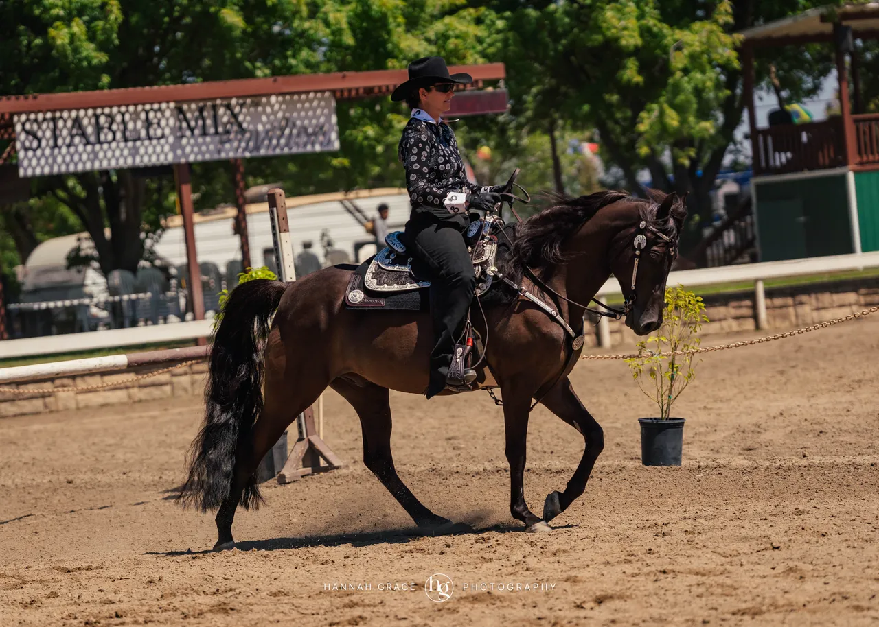 2025 NCWHA Mayfest Horse Show