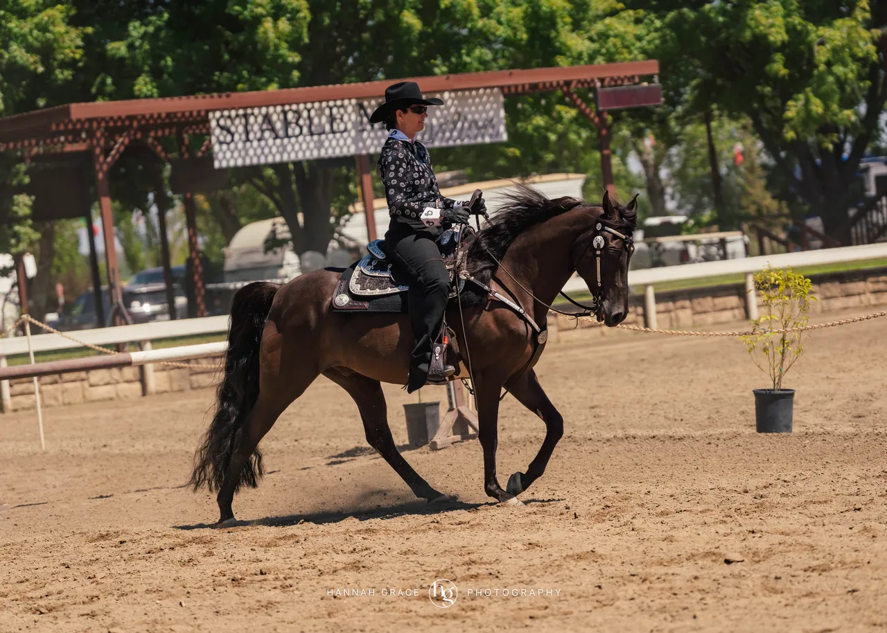 2025 NCWHA Mayfest Horse Show
