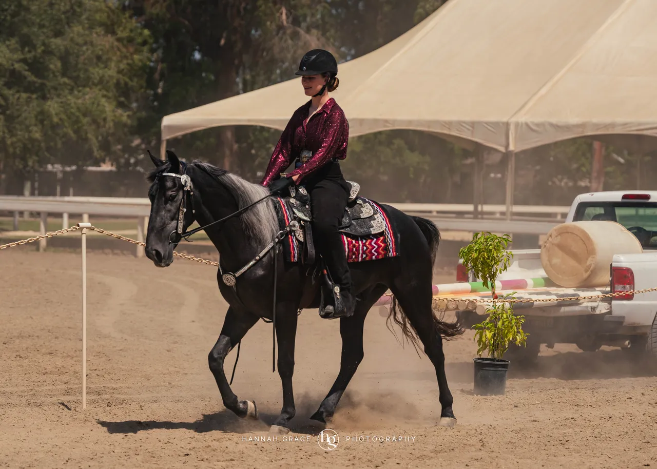 2025 NCWHA Mayfest Horse Show