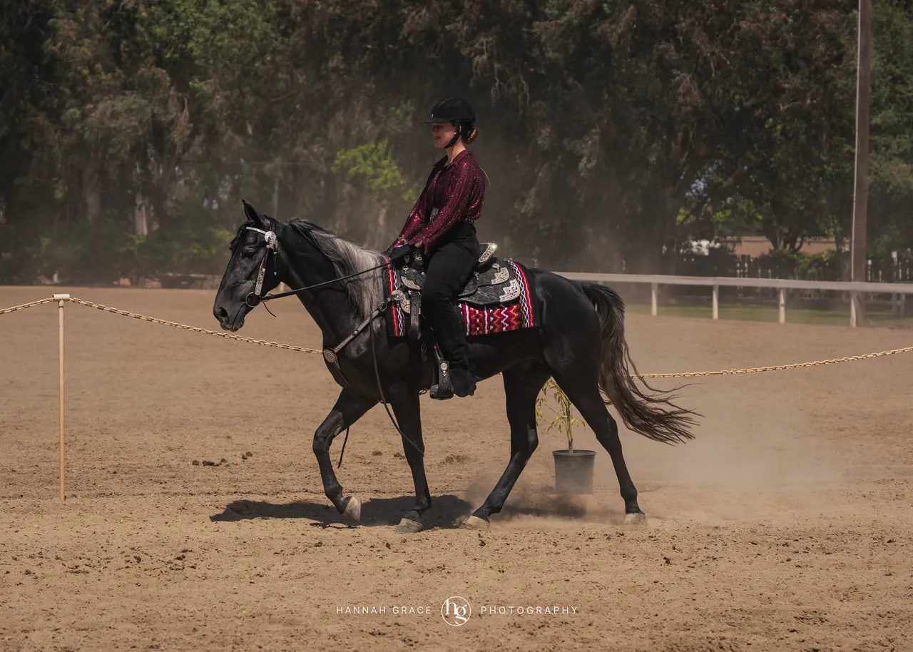 2025 NCWHA Mayfest Horse Show