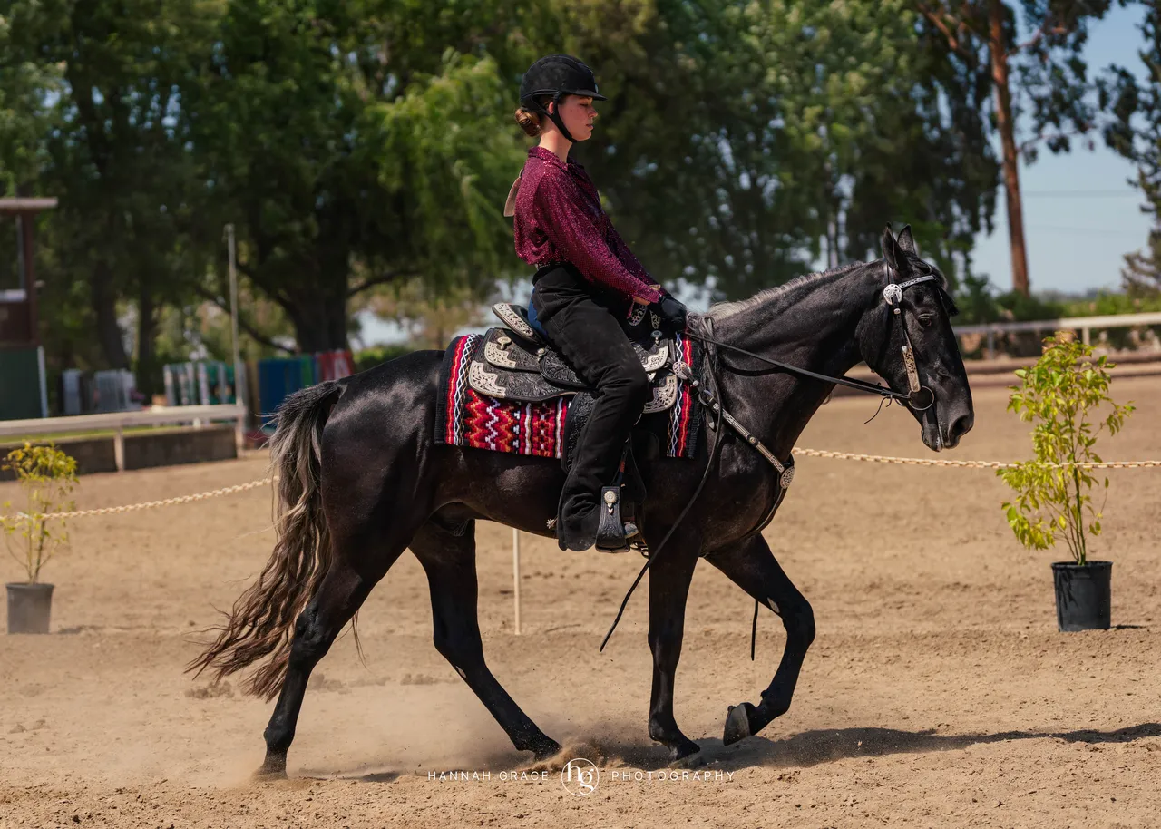 2025 NCWHA Mayfest Horse Show
