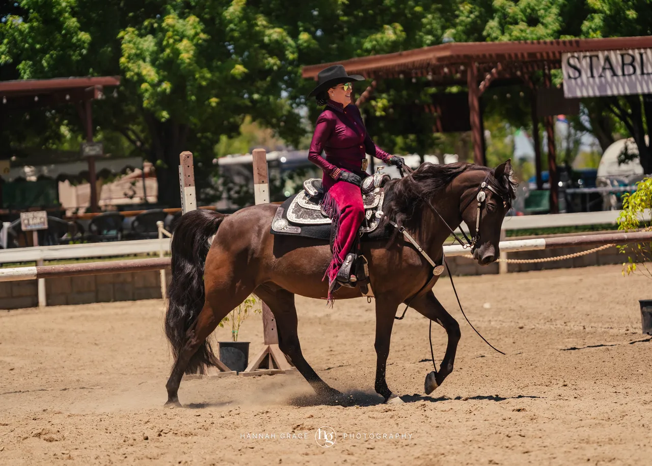 2025 NCWHA Mayfest Horse Show
