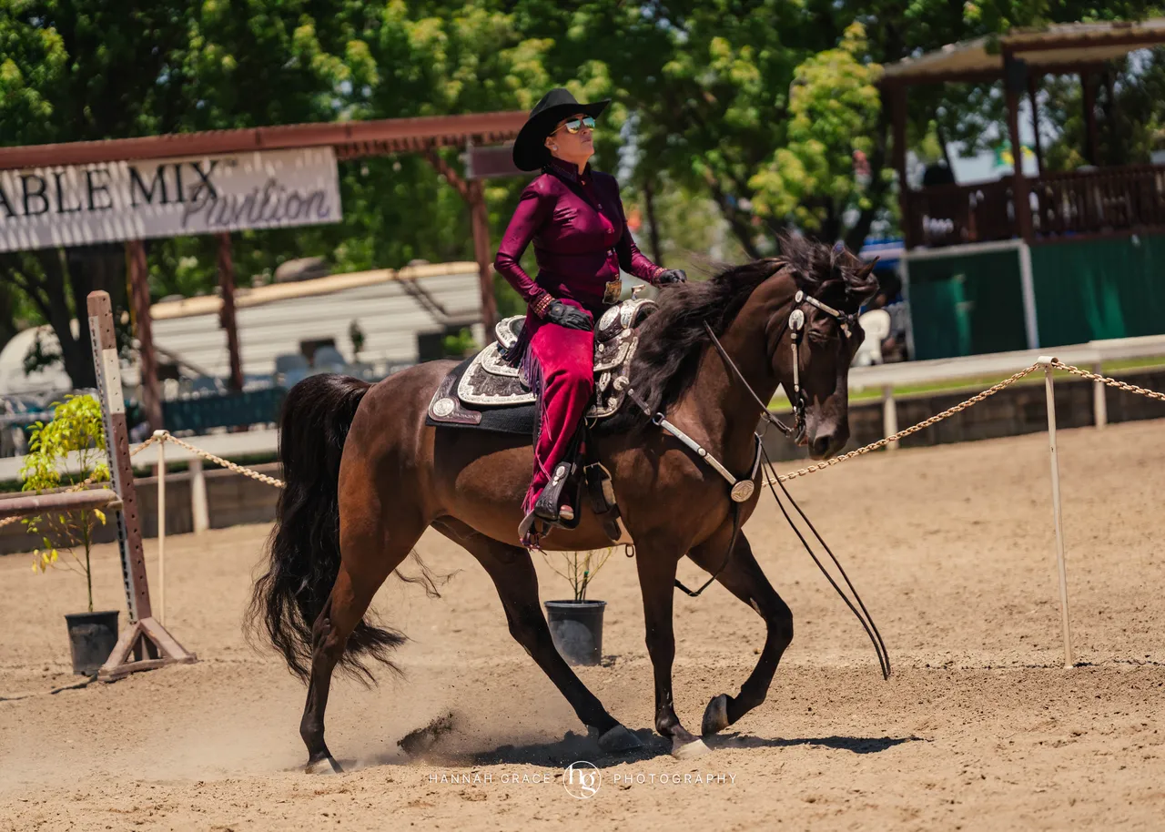 2025 NCWHA Mayfest Horse Show