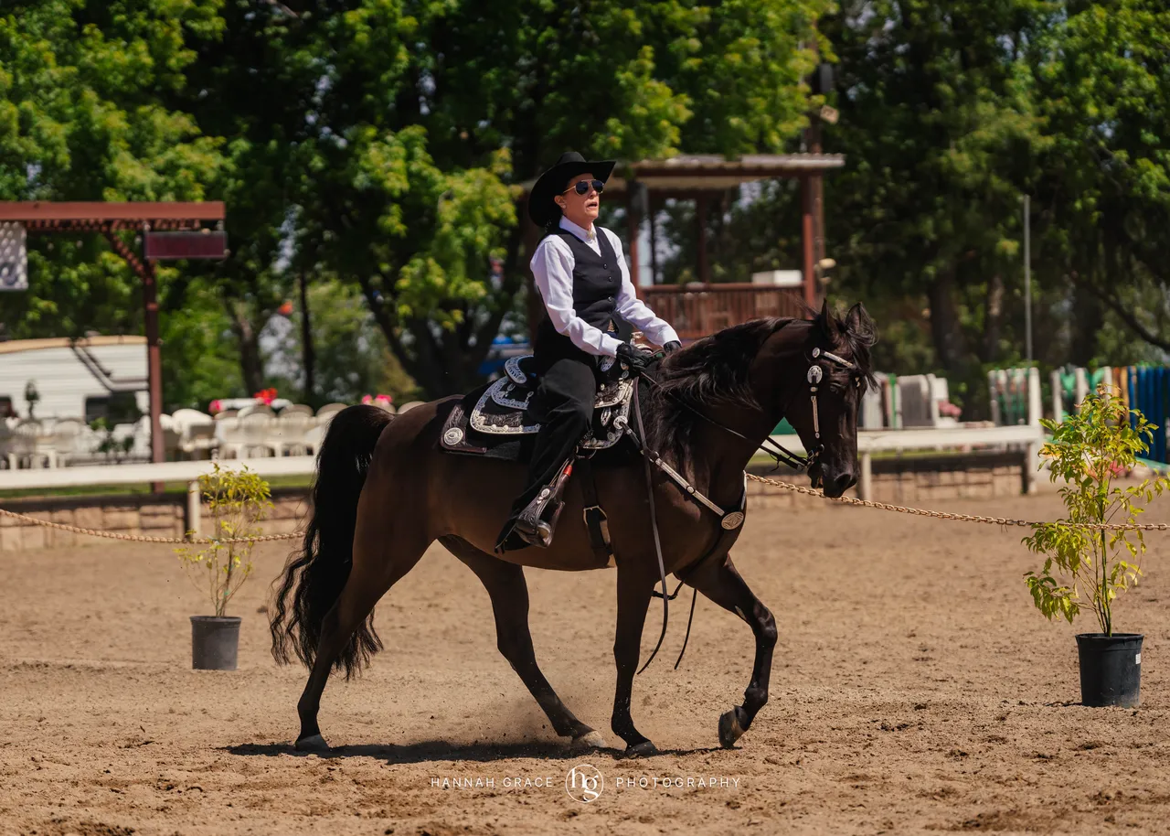 2025 NCWHA Mayfest Horse Show