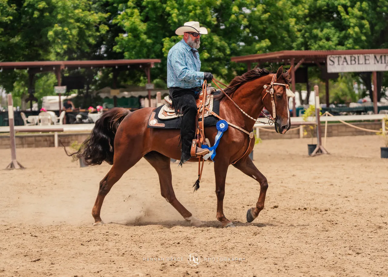 2025 NCWHA Mayfest Horse Show