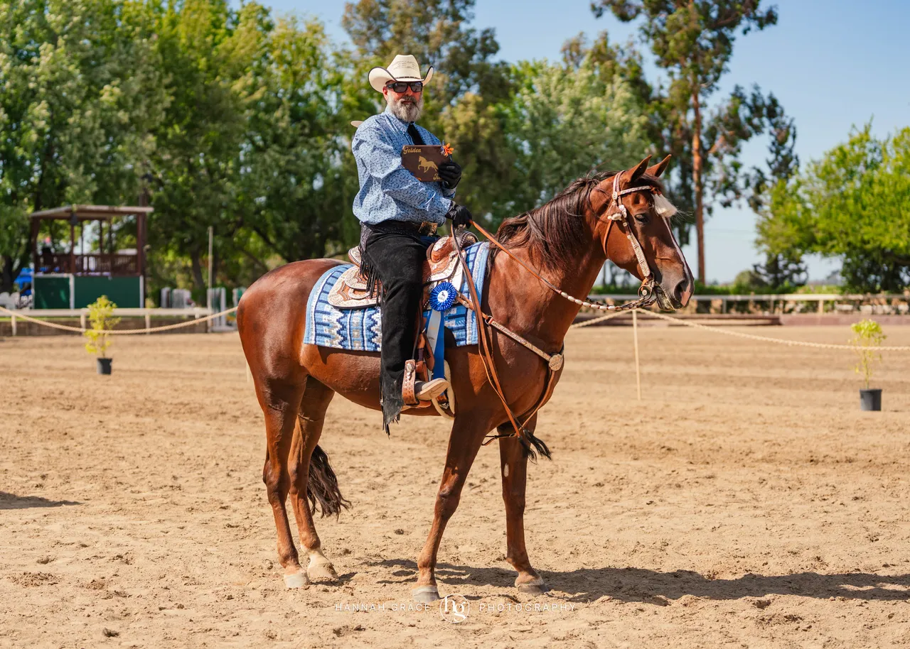 2025 NCWHA Mayfest Horse Show