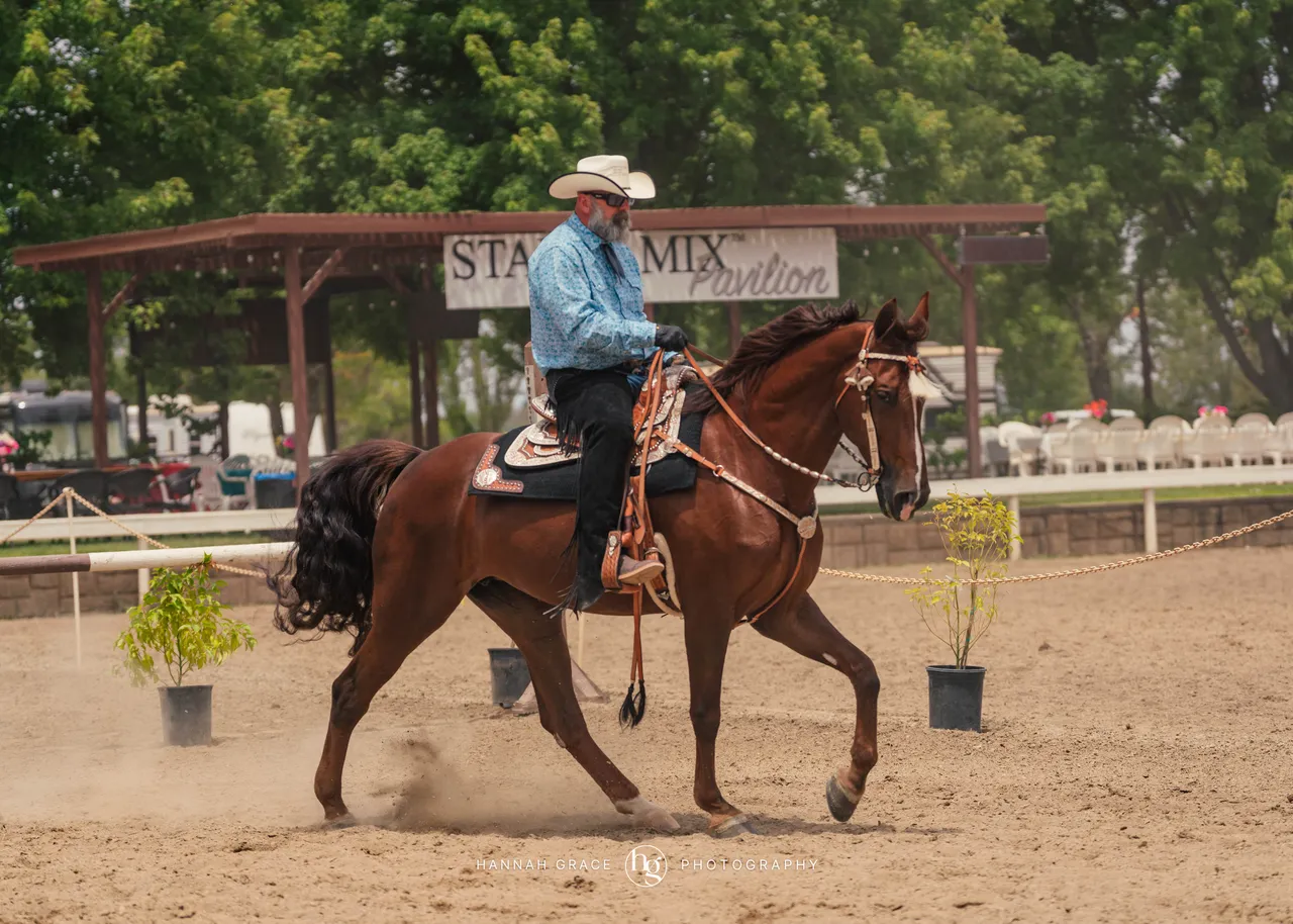 2025 NCWHA Mayfest Horse Show