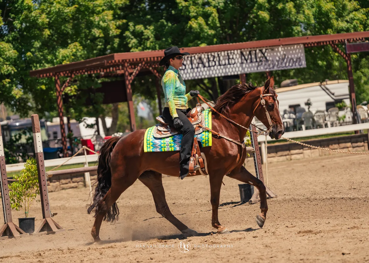 2025 NCWHA Mayfest Horse Show