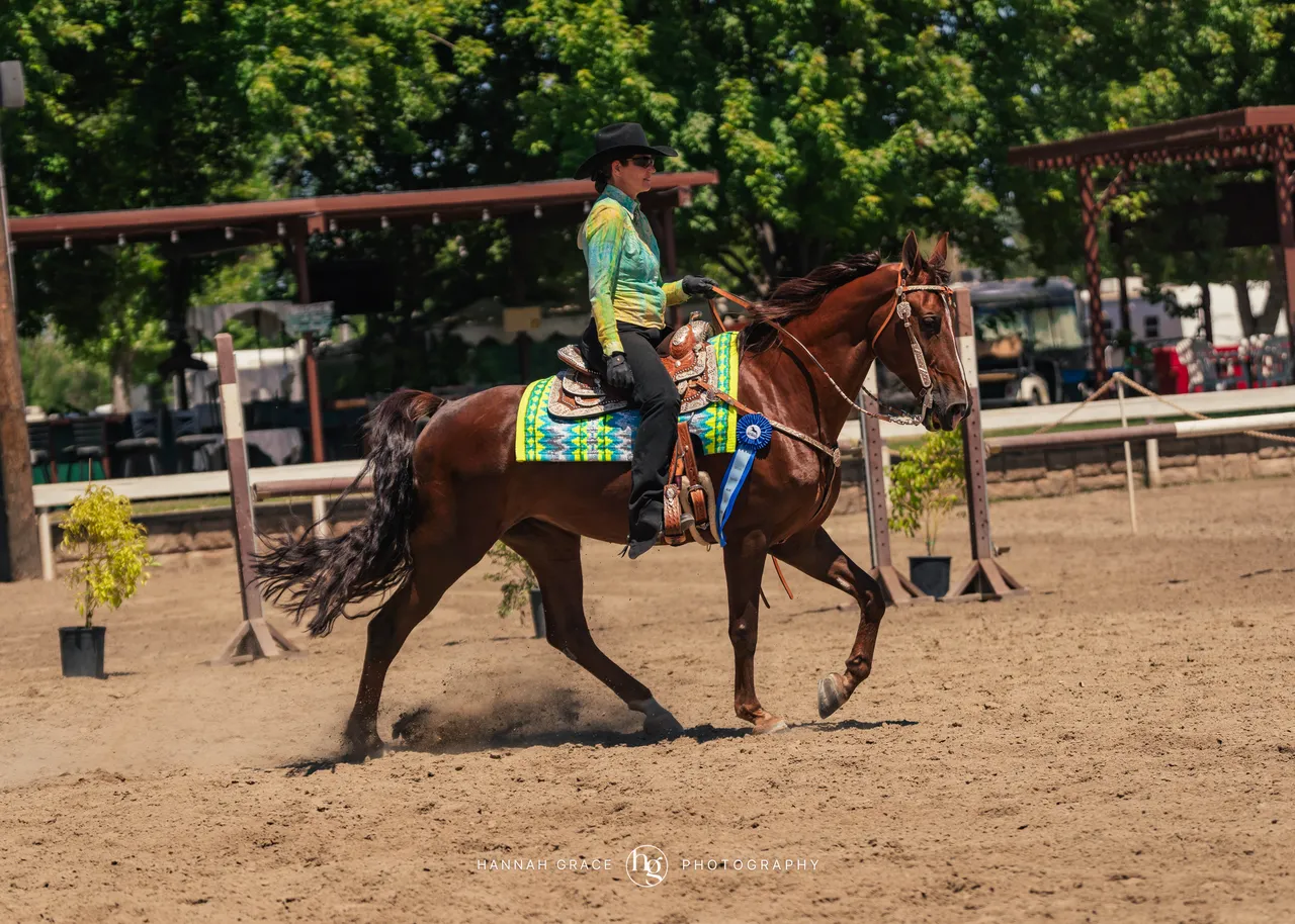 2025 NCWHA Mayfest Horse Show