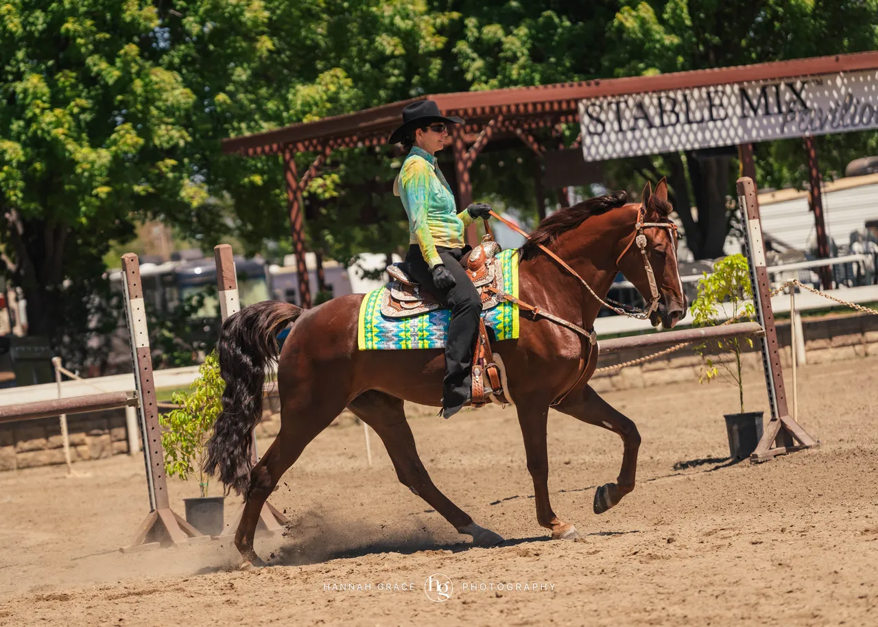 2025 NCWHA Mayfest Horse Show