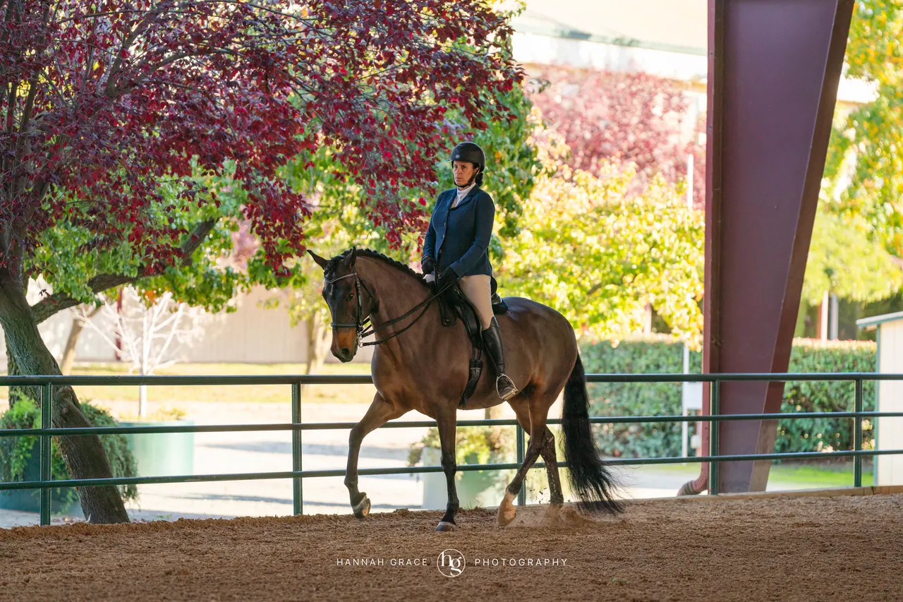 2025 NCWHA Oktoberfest Horse Show
