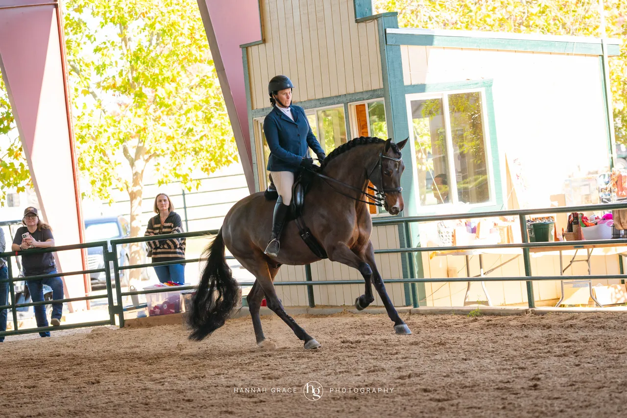 2025 NCWHA Oktoberfest Horse Show
